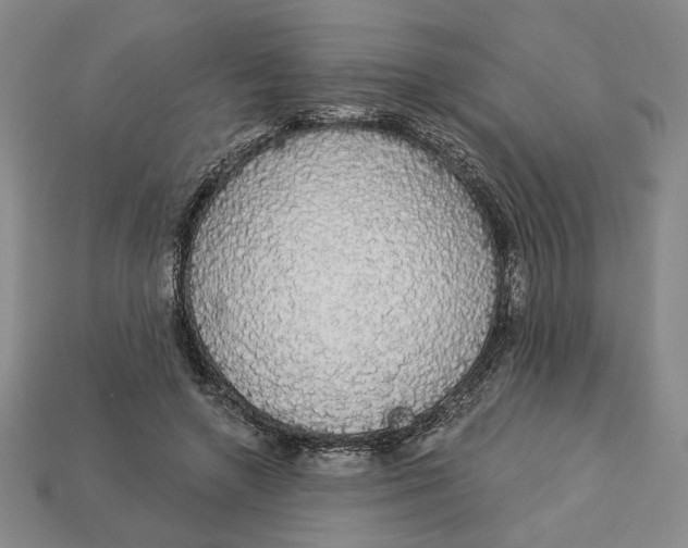 X0000112910546200909141253