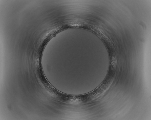 X0000112910547200909141253