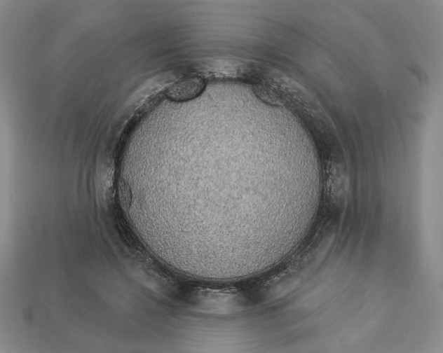 X0000112910548200909141253