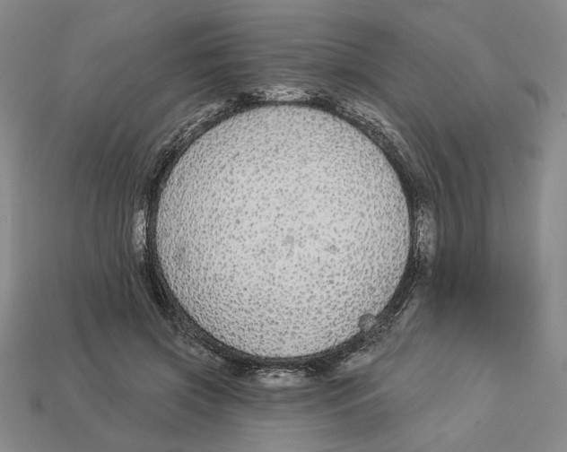 X0000112910549200909141253