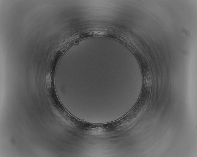 X0000112910551200909141253