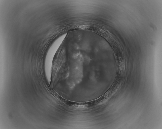 X0000112910553200909141253