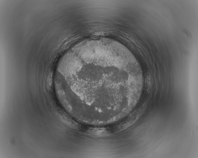 X0000112910554200909141253