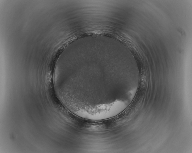 X0000112910555200909141253