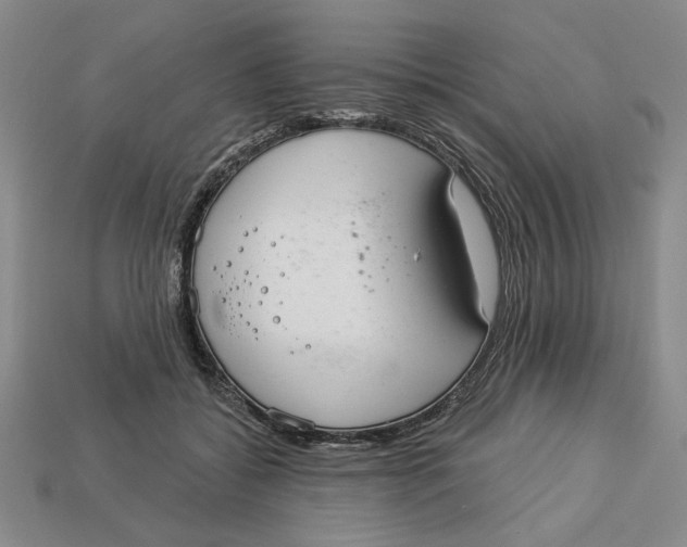 X0000112910556200909141253