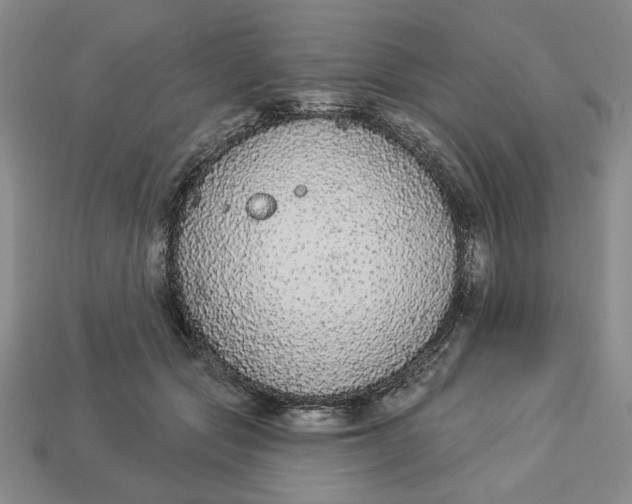 X0000112910557200909141253