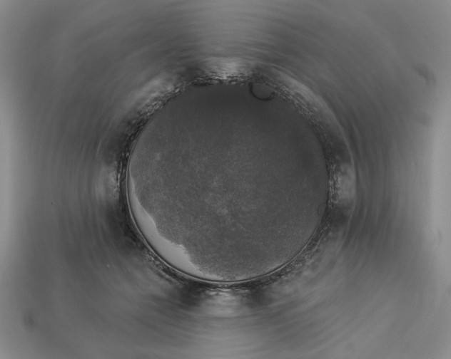 X0000112910558200909141253