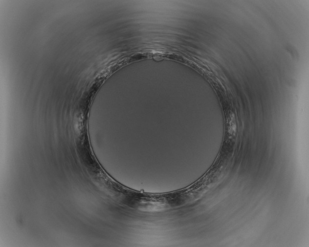 X0000112910559200909141253