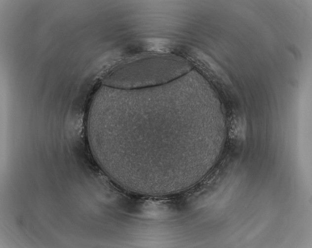 X0000112910560200909141253