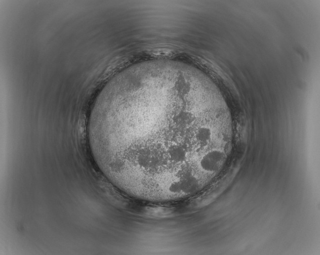 X0000112910561200909141253