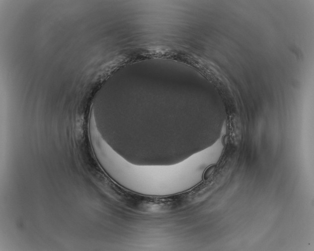 X0000112910563200909141253