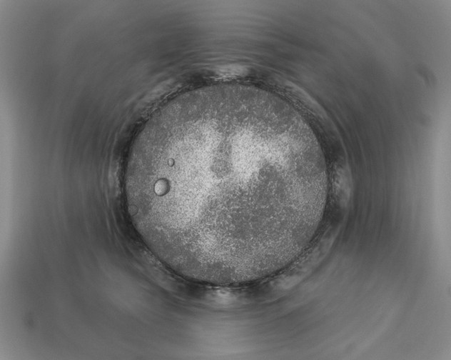 X0000112910565200909141253