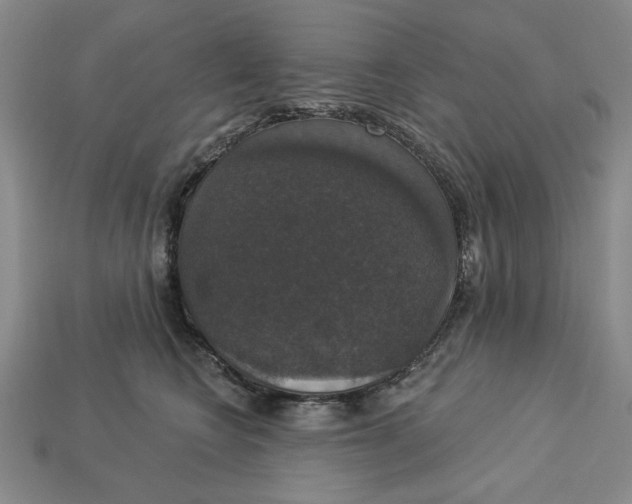 X0000112910566200909141253