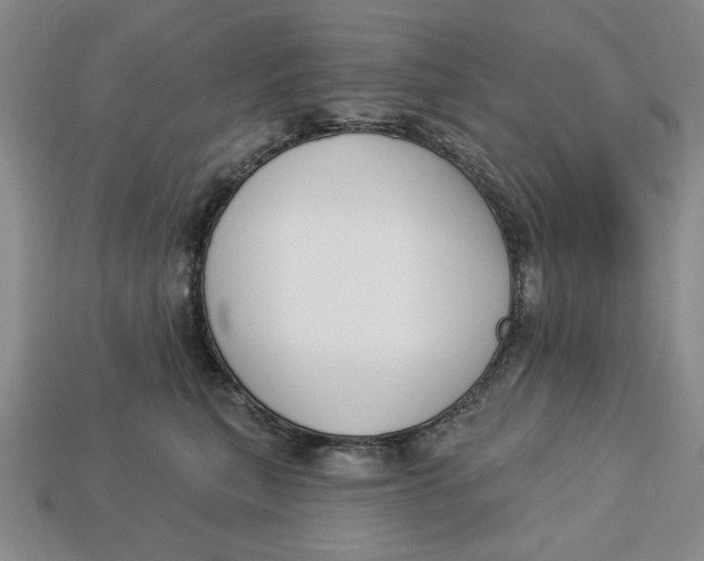 X0000112910567200909141253