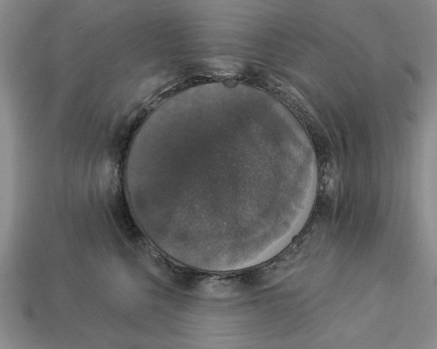 X0000112910568200909141253