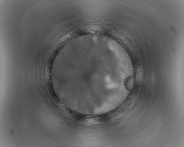 X0000112910569200909141253