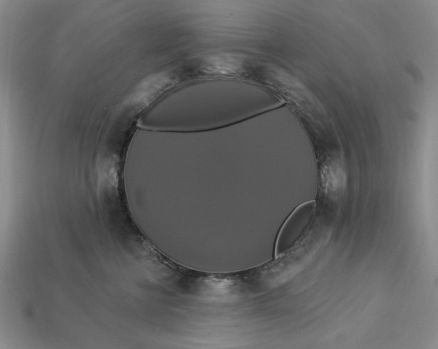 X0000112910570200909141253