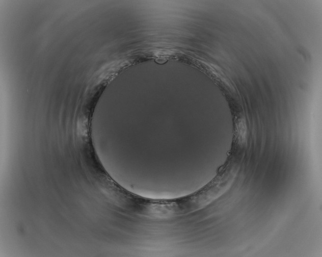 X0000112910571200909141253