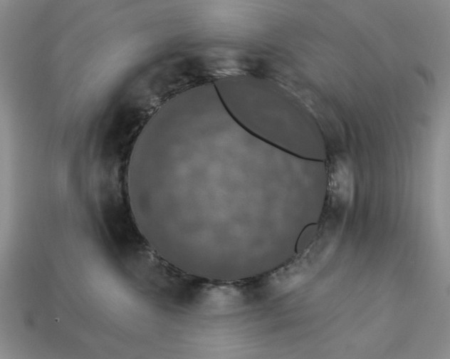 X0000112910572200909141253