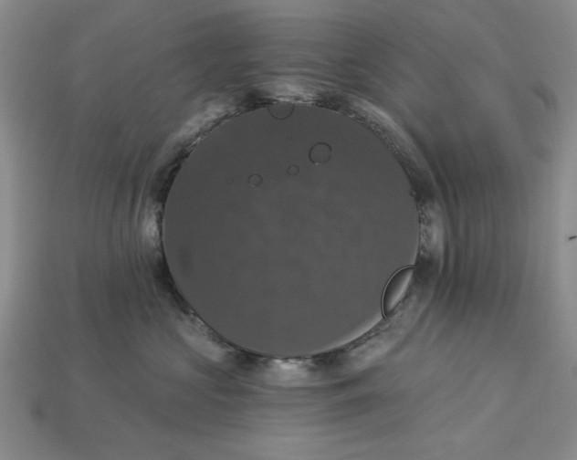 X0000112910573200909141253