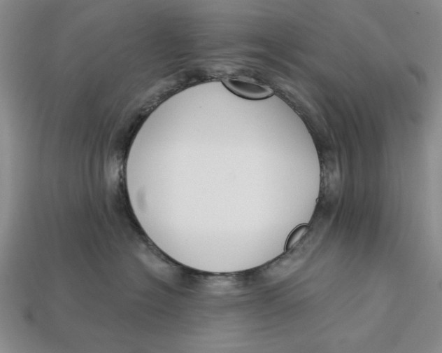 X0000112910574200909141253