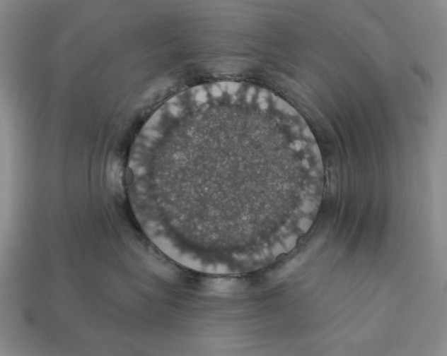 X0000112910575200909141253