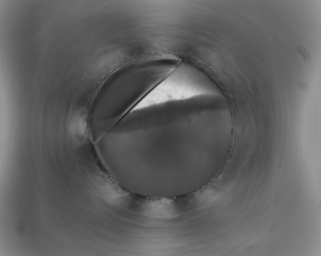 X0000112910576200909141253