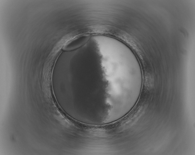 X0000112910577200909141253