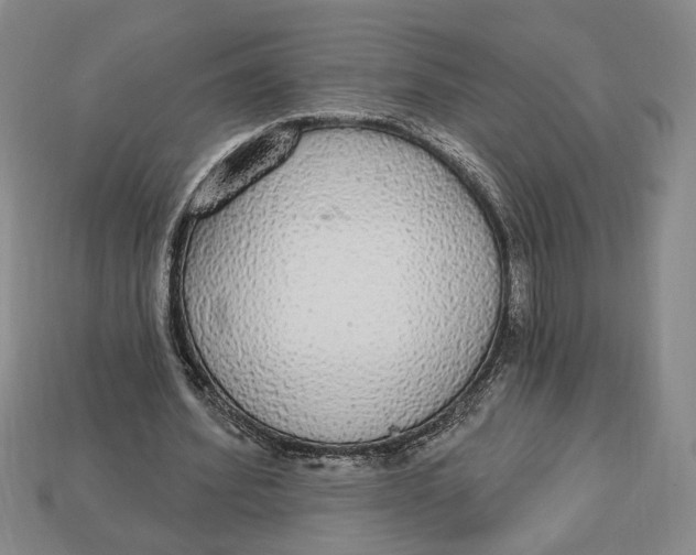 X0000112910580200909141253