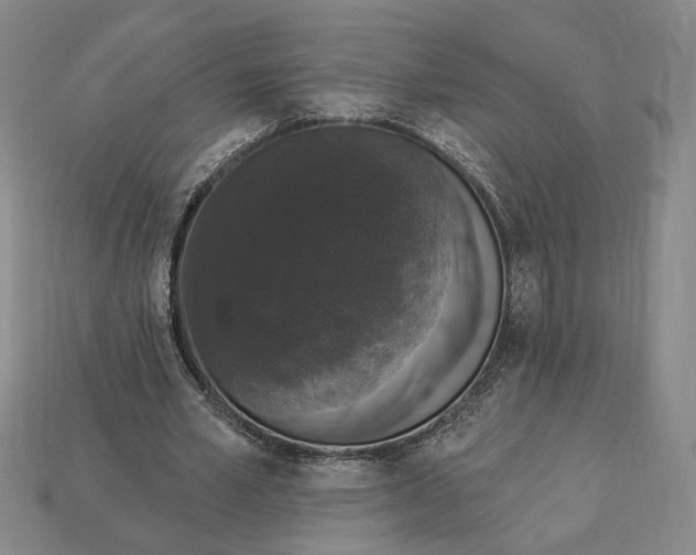 X0000112910581200909141253