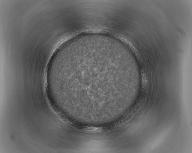 X0000112910582200909141253