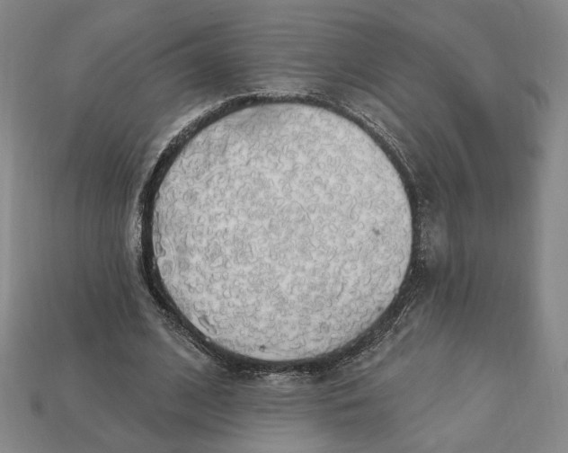 X0000112910584200909141253