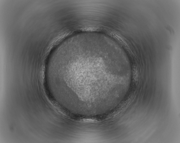 X0000112910586200909141253