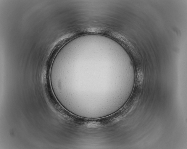 X0000112910587200909141253