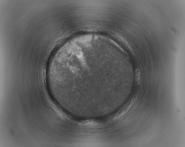 X0000112910589200909141253