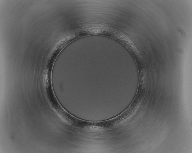 X0000112910590200909141253