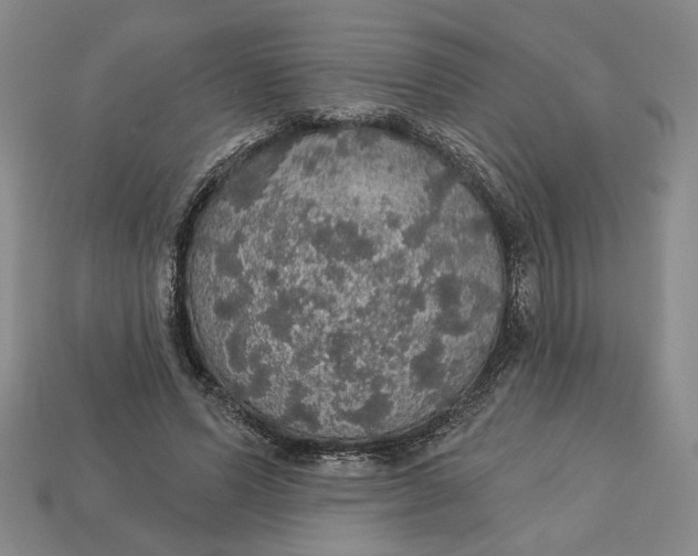 X0000112910591200909141253