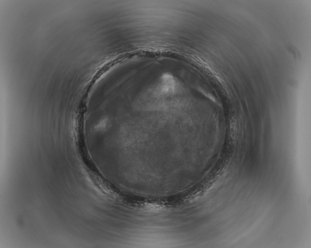 X0000112910592200909141253