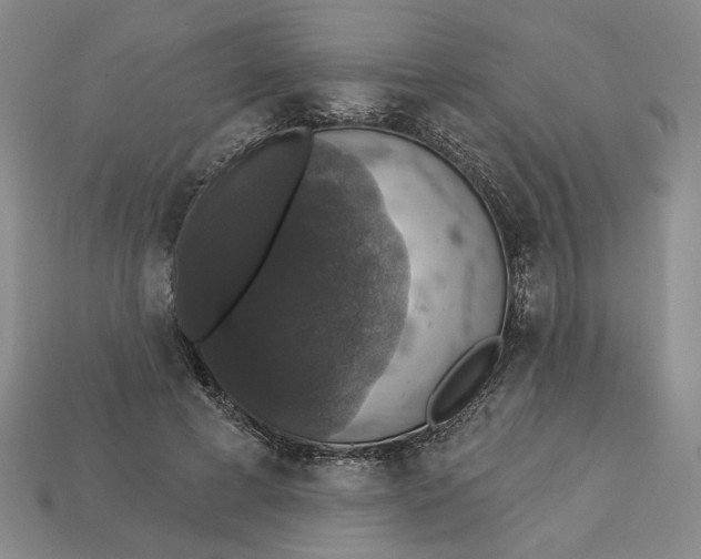 X0000112910593200909141253