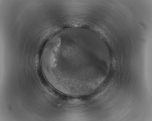 X0000112910594200909141253