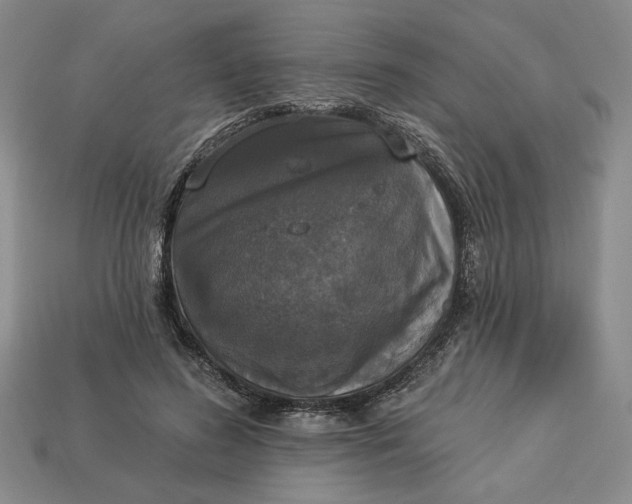 X0000112910596200909141253