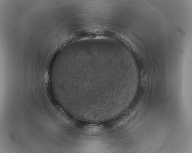 X0000112910597200909141253