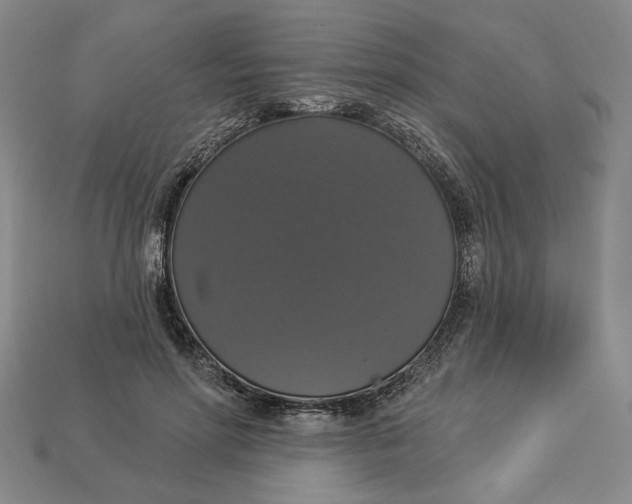 X0000112910598200909141253