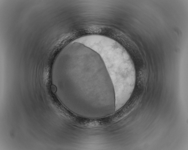 X0000112910600200909141253