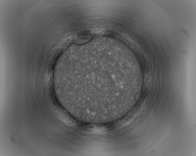 X0000112910601200909141253