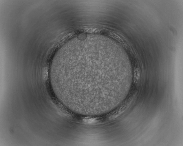 X0000112910602200909141252