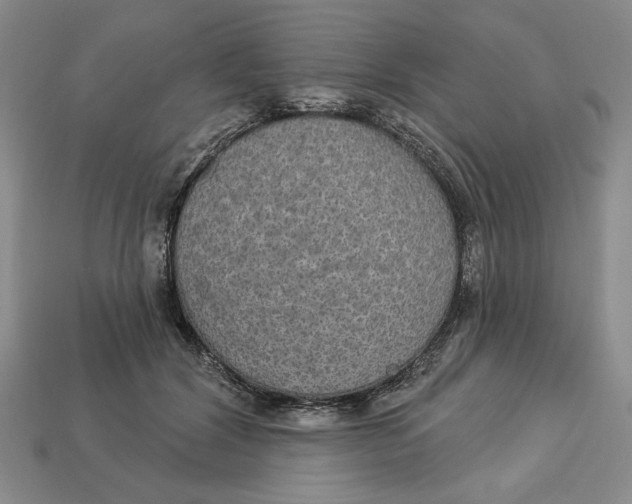 X0000112910604200909141252