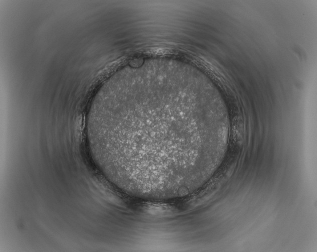 X0000112910605200909141252