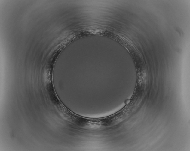 X0000112910606200909141252