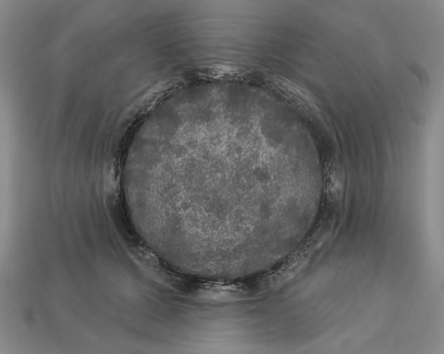 X0000112910607200909141252